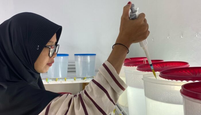 Eksperimen Mahasiswa Perikanan: Pemupukan Cerdas untuk Budidaya Alga Thalassiosira