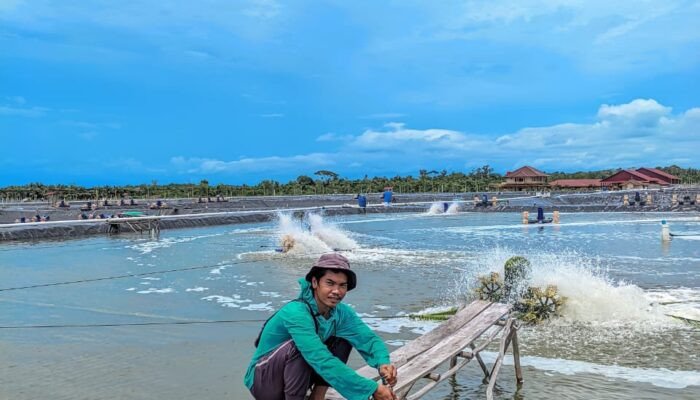 Alumni Ilmu Perikanan UMS Rappang Asal Bangka Belitung Sukses Berkarier di Industri Perikanan