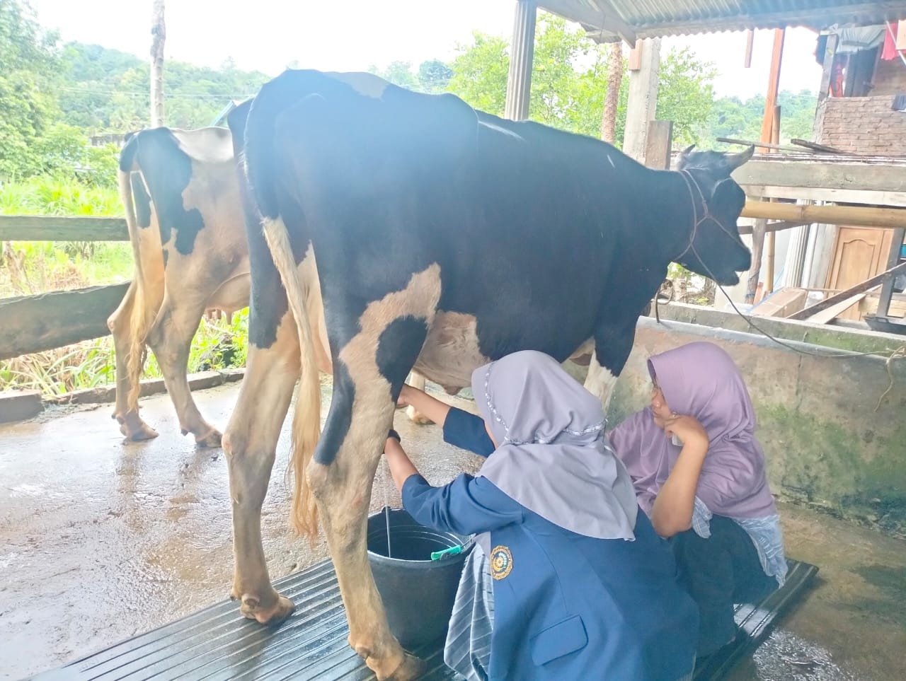 Mahasiswa Adminkes UMS Rappang Praktek Lapangan di Desa Karrang Enrekang